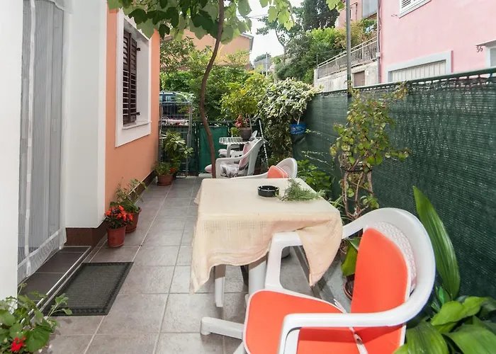 Zora * 말리로시니